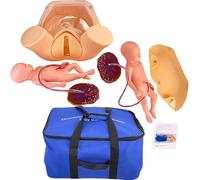 Generico simulatore di parto manichino dimostrazione del parto, modello anatomico pelvico a grandezza naturale consegna stampo per l'insegnamento della maternità include modelli di utero