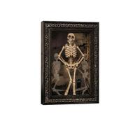 Generico Skeleton Frame - Human Anatomy Model, Decorative Skeleton Display