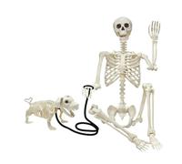 Generico Skeletons for Halloween - Posable Spooky Bones with Movable Joints | Halloween Skeleton Decorations | Spooky Full Body Posable Joints | Life-Size Full Body Realistic Posable Skeleton | For Home