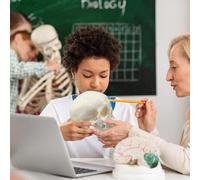 Generico Skull Anatomy Model,Skeleton Head Bones | Realistic Small Skull Crafts Halloween Decor for Teaching Anatomy Learning Classroom Tool Education Display