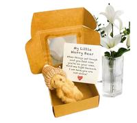 Generico Small Bears, Stuffed Plush Bears, Handmade Little Animals, Pocket with Inspirational Card, Thoughtful Gift for Toddler, Children, Care Packages, Graduation, Mother’s Day