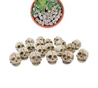 Generico Small Skeleton Heads 20 Pieces Resin Halloween Prank Props