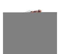 Generico Space-Saving Rib Rack - Rib Roasting Rack, Ribb RackK for Baking, Dishwasher Safe Steak Holder, Barbecue Accessory for Roasting Resting Baking Prep Outdoor Camping, Carbon Steel BBQ Racks