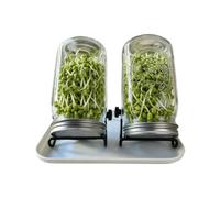Generico Sprouting Kit Glass | Soilless Sprouts Growing Container | Bean Sprouts Grow Kit,for Homesteaders Health Enthusiast Home Kitchen Countertop Pantry Shelf Office Windowsill Balcony