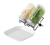 Generico Sprouting Kits For Home 3.15x5.04 Inches Health Vegetables Grow