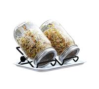 Generico Sprouting Kits for Home | Soilless Sprouts Growing Container | Sprouting Jars with Lids | for Homesteaders Health Enthusiast Home Kitchen Countertop Pantry Shelf Office Windowsill Balcony
