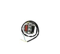 Generico Statore BOBINA CDI 12 V 35 W Per Zundapp Per Kreidler Per Hercules Per Alternatore di Accensione Per Puch Race Accensione Elettronica Ciclomotore