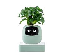 Generico Succulents Pot - Smart AI Planter for Indoor Plants | USB Rechargeable ABS Pot with LCD Screen Wi-Fi App Control Plant Care Guidance Multiple Expressions Home Office Decor Gift