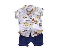 Generico Summer Thin Cartoon Dinosaur Series Shorts Set a Due Pezzi a Maniche Corte (Coffee, 3-4 Years)