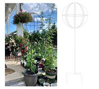 Generico Supporto per Piante - Traliccio da Giardino in Metallo per Piante rampicanti da Esterno, Robusto Supporto in Ferro per clematidi, gelsomini e Rose in Giardini e