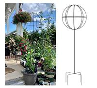 Generico Supporto per Piante: Traliccio da Giardino in Metallo per Piante rampicanti da Esterno, Robusto Supporto in Ferro per clematidi, gelsomini e Rose in Giardini e