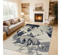 Generico Tappeti Geisha Giapponese, Tappeti Salotto Asia Orientale, Tappetino Antiscivolo e Lavabile, Tappeto Camera da Letto 120x170 cm C&J37
