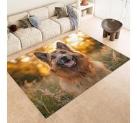 Generico Tappeti Salotto Imitazione Cashmere 100x150 cm Stampa Cane Erba Sole Animale 3D Motivi Squisiti Tappeto Bagno Antiscivolo Lavabile Adatto a Corridoi Ville Classiche Angoli Lettura Moquette