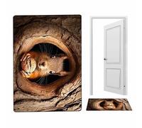 Genérico Tappeto 3D - Morbido e antiscivolo, decorazione per la casa con scoiattolo e cane - Zerbino effetto ottico - per compleanno, giorno del ringraziamento Natale Capodanno - Ingresso camera da