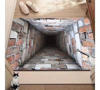 Generico Tappeto con illusione ottica 3D, tappeti con illusione ottica Hole, zerbino antiscivolo senza fondo con illusione ottica Trap, prova e gioca con il tuo gatto o cane (H,50 * 80cm)