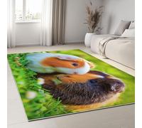 Generico Tappeto per la Casa 120 x 170 cm, Tappeto Pelo Basso e Antiscivolo Fiori Di Prateria Topi, Tappeti per Camera dei Bambini Sala da Pranzo Arredamento Domestico Paesaggio Naturale