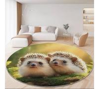 Generico Tappeto Rotondo Salotto Lavabil, Carino Animale Riccio StampaTappeto - Rotondo con Supporto Antiscivolo 60 cm (Rond) Tappeti per Cameretta Bambino Ufficio CorridoioVerde