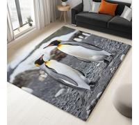 Generico Tappeto Salotto Piccole Dimensioni - Grigio 50x80 cm Tappeto Antiscivolo Lavabile a Pelo Corto Antartide Spiaggia Pinguino Motivo per Camera Da Letto Corridoio Soggiorno Sala