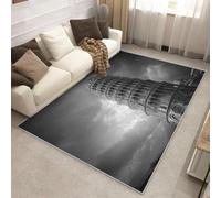 Generico Tappeto Salotto Torre di Pisa 200x290 cm, Tappeto Astratto Moderno, Antiscivolo Pelo Corto Lavabili per Camera da Letto Cucina Bagno P-&100