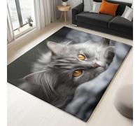 Generico Tappeto Soggiorno, Stile Fotografico Animali Gatti Tappeto Pelo Corto Morbido Argento Antiscivolo Lavabile Tappeti, pulizia facile per Camera da Letto ufficio Home Decor 60 x 90 cm