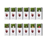 Generico Teacher Keepsake | Fruit Shape Stocking Stuffers with Box | Cute Appreciation Gift for Students Kids Boys Girls | Classroom Reward Keepsake for School Graduation Birthday Teens