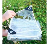 Generico Telo Trasparente con Occhielli 0.35mm telone di Copertura 1m 1.5m 2m 2.5m 3.0m 3.5m 4.0m 4.5m 5m 5.5m 6m 6.5m PVC Vetro Chiaro Impermeabile Tarps teloni protettivi per Giardino(2x5m)
