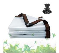 Generico Telone Trasparente con Occhielli PVC Teloni Occhiellato Impermeabile 3x4.0m 3x10m 3.5x11m 4x6m 4x12m Telo Resistente alle intemperie per Esterno Balcone Giardino Serra Piante(6x12m)