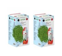 Generico Thé Matcha Premium Détox Japonais Aromatisé Fraise 10Gr 20 Pezzi (Boîte de 2)