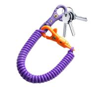 Generico Theftproof Stretch Key Chain -Theftproof Lanyard, Retractable Coil Spring Strap, Safety Rope for Cellphone Keys Durable Accessory for Bags And Wallets, Universal Use, Multi Color
