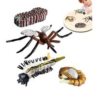 Generico Tierlebenszyklus-Figuren - Pädagogisches Lernset | Realistische Wachstums-Modelle (Schmetterling, Schildkröte, Motte), MINT-Lernspielzeug Für Biologie & Naturkunde