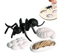 Generico Tierlebenszyklus-Figuren - Pädagogisches Lernset | Realistische Wachstums-Modelle (Schmetterling, Schildkröte, Motte), MINT-Lernspielzeug Für Biologie & Naturkunde