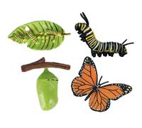 Generico Tierlebenszyklus-Figuren - Pädagogisches Lernset | Realistische Wachstums-Modelle (Schmetterling, Schildkröte, Motte), MINT-Lernspielzeug Für Biologie & Naturkunde