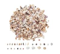 Generico Tiny Seashells for Crafts - Natural Mini Shell Set for Decorating