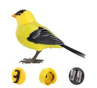 Generico Toy Bird, 5.31x3.54 inches Toddler Electronic Talking Pet For Desktop Sensory Play, Realistic Interactive Animal Figure For Birthday Outdoor Decor Party Favors Kindergarten Gift