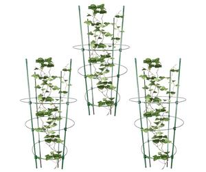 Generico Traliccio per Torre di - Supporti per Piante in Tre Parti, da Giardino Resistenti alle intemperie, Struttura per Arrampicata Verticale, portafrutta per Fiori e Vino | Guida alla Cre