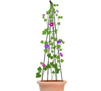 Generico Traliccio piramidale Gabbia Altezza Regolabile | Supporto per Piante Rampicanti da 160 cm per Pomodori, Cetrioli, Piselli, Fiori, Interno, Esterno, Giardino, Balcone