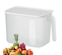Generico Trasparente Per Frigorifero Con Maniglia - Per Ghiaccio Per Congelatore Con Coperchio, Per Frigorifero Trasparente Satinato Per L'organizzazione Della Cucina | Cass