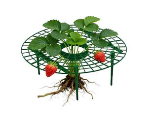 Generico Trellis per Piante da Esterno - 30 Cm Supporto di Crescita Regolabile | Supporto per Orto E Pomodori | per Esterno, Patio, Frutteto, Balcone, Giardinaggio, Fiori E Piante Rampicanti