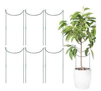 Genérico Tutor - Rete per piante rampicanti | 6 gabbie e supporti per peonie per vite, peonie, monstera, ortaggi, vasi e per giardino, patio, prato e recinzioni