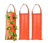 Generico Upside Down Tomato Planter - Hanging Grow Bag Set