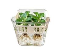 Generico Vasi Idroponici - Contenitori a Doppio Strato a 4 Griglie,Vasi a Rete per Piante Idroponiche - per Interni Soggiorno Camera Ufficio Balcone Patio Giardino Cortile