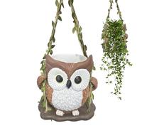 Generico Vasi Per Fiori,Decorazione Casa Con Gufo Dondolo In Resina,Fioriere Da Esterno Appendibili | Per Interno Giardino Cortile Patio Portico Soggiorno Cucina Ufficio Donne Mamma Compleanno