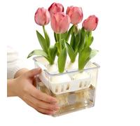 Generico Vasi per - Trasparente a Doppio Strato con Drenaggio Facile | Contenitore per Propagazione Piante | per Interni Balcone Soggiorno Camera Cucina Scrivania Giardino Cortile Esterno