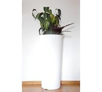 Generico Vaso FIORIERA Tondo in PLASTICA Alto 65 CM i Cache-Pot CLOU Veca diam. 30 cm Made in Italy Bianco