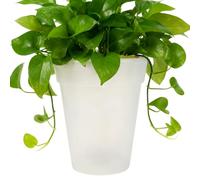 Generico Vaso Fiorito con Luce LED,Lampade da Giardino LED Impermeabili | Fioriera Esterna con Alimentazione Solare - Per Esterno Casa Giardino Terrazzo Prato Sentiero Compleanno Casa Nuova