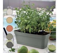 Generico Vaso Rettangolare Moderno per Piante Grasse e Bonsai, Design Italiano, Plastica Resistente con Sottovaso, 30cm, Ideale per Interni ed Esterni, Fioriere da Balcone (Verde Salvia)