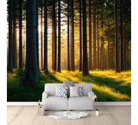 Generico Verde Carta da parati panoramica 300 x 210 cm (L x A), Tranquillità Alba Foresta Carta da parati personalizzata per la decorazione del soggiorno e della camera da letto