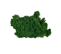 Generico VERDISSIMO Confezione da 500 Grammi di Muschio STABILIZZATO Verde Scuro