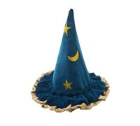 Generico Witches Hat, Wide Brim Taper Spire, Pointed Hat, Halloween Costume