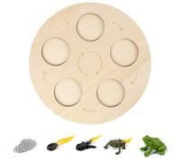 Generico Wooden life cycle board teaching aids, early #educational natural learning animal toys, suitable for toddler gifts, suitable for boys and girls, plants, butterflies (10)